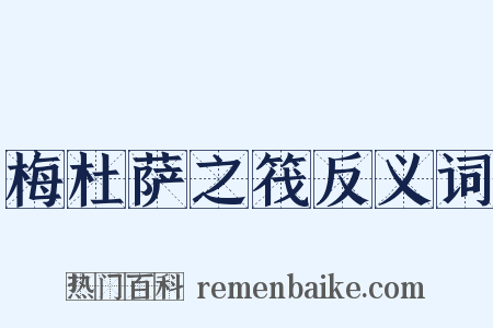 梅杜萨之筏反义词是什么意思的图片